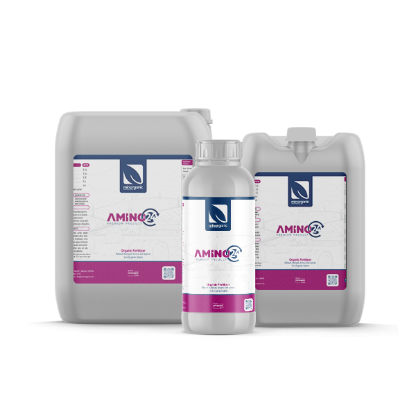 Amino 24